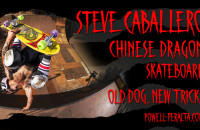 Caballero Chinese Dragon - 'Old Dog, New Tricks'