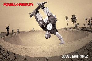 Blog - Powell-Peralta®