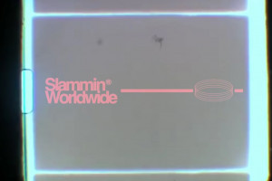 Powell-Peralta - Slammin Worldwide