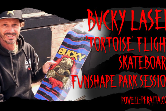 Lasek 'Tortoise' Flight Deck