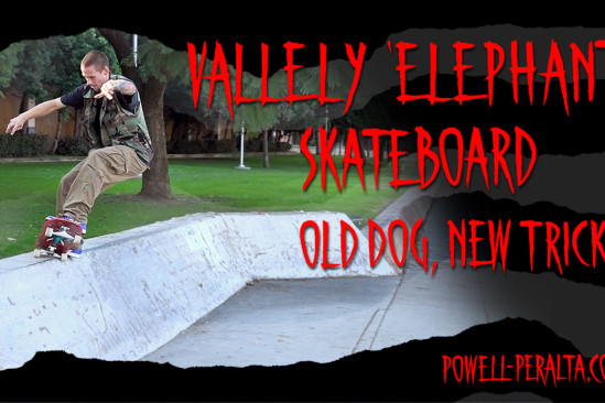 'Old Dog, New Tricks' - Vallely "Elephant" Skateboard