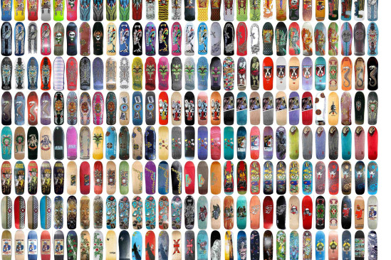 503 Skateboards