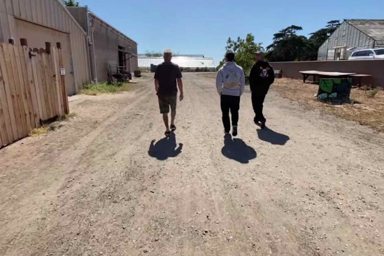 The Orchid - NKA Vids