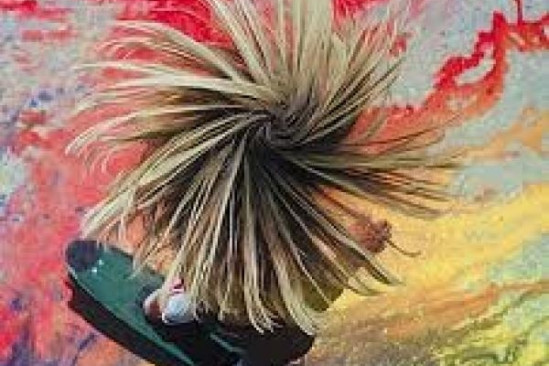 Stacy Peralta interview