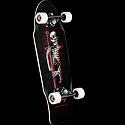 Powell Peralta Diligatis Pusher black Complete Skateboard Assembly - 8.75 x 27.75