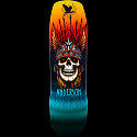 Powell Peralta Pro Andy Anderson Heron FLIGHT® Skateboard Deck - Shape 290 9.13 x 32.8