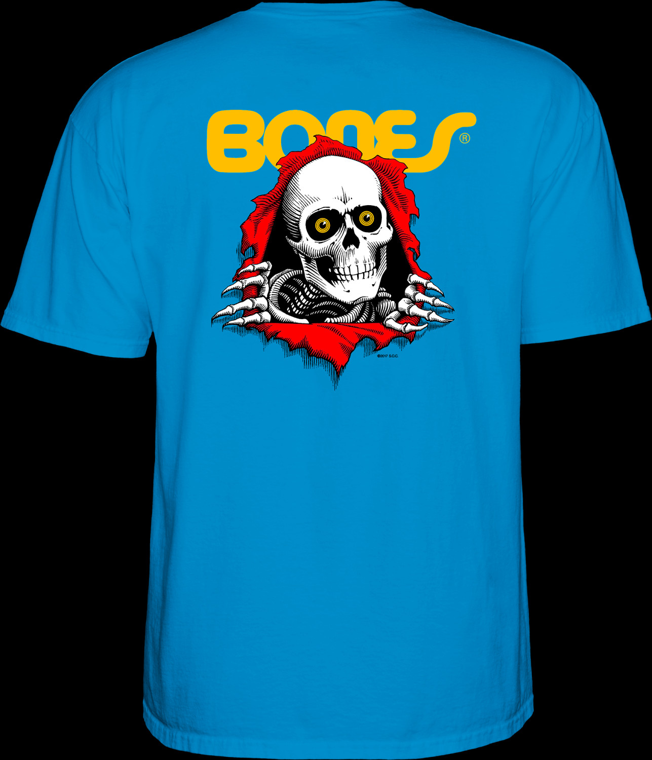 Powell Peralta Ripper YOUTH T-shirt - Turquoise Photo #1 - Photo