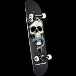 Powell Peralta Skull and Snake Complete Skateboard Gray - 7.625 x 31.625