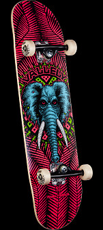 Powell Peralta Vallely Elephant One Off Pink Birch Complete Skateboard - 8.25 x 31.95