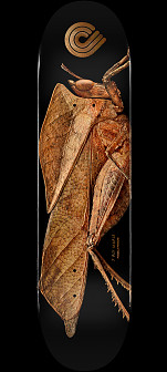 Mini-Logo Patterns 1 Deck - Planche de 8.0