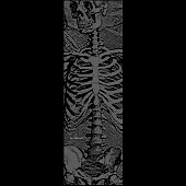 Powell Peralta SAS Skeleton CLEAR Grip Tape Sheet - 10.5 x 33