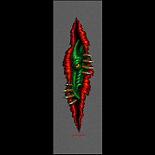 Powell Peralta Dragon Peeker CLEAR Grip Tape Sheet -10.5 x 33