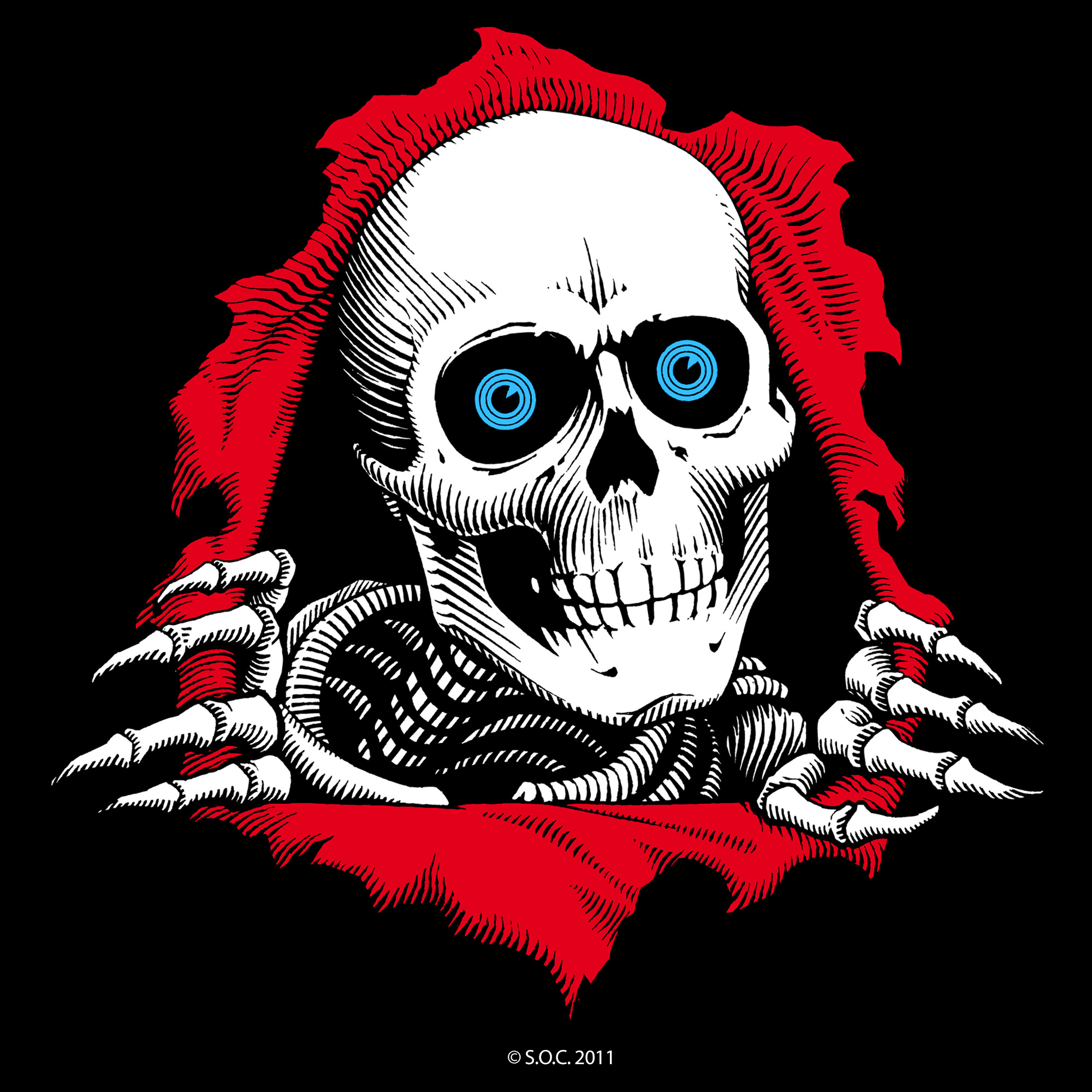 Powell Peralta 12