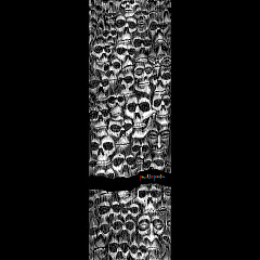 Powell Peralta Color Me Skullz Grip Tape Sheet 10.5 x 33