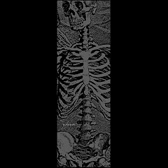 Powell Peralta SAS Skeleton CLEAR Grip Tape Sheet - 10.5 x 33
