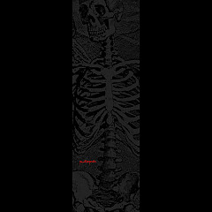 Powell Peralta Skull and Sword Skeleton Grip Tape Sheet 10.5 x 33