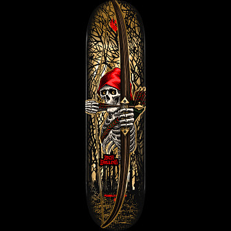 GQ1823◇POWELL PERALTA : 90's USA製 リザード DAGCPPF22SSRC295.jpg