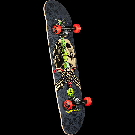 POWELL PERALTA/スポーツその他 DAGCPPRR1118812B.jpg
