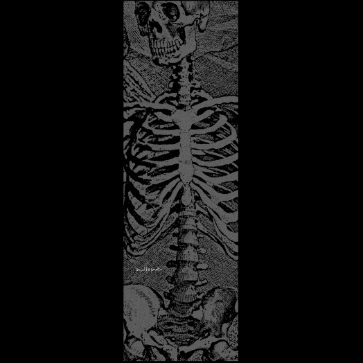 Powell Peralta SAS Skeleton CLEAR Grip Tape Sheet - 10.5 x 33