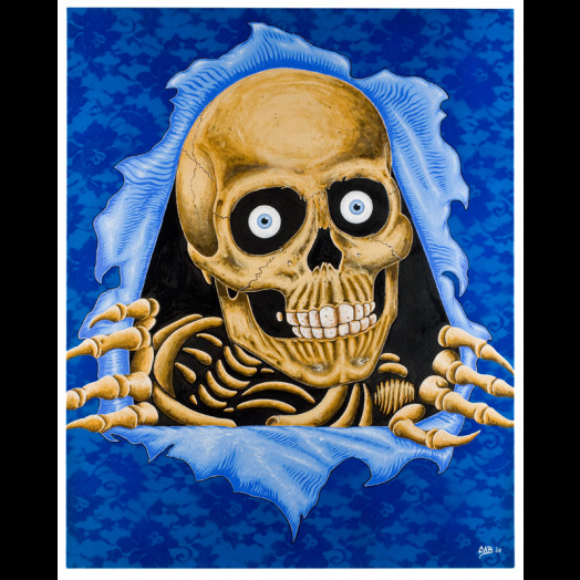 Untitled by Steve Caballero - Powell-Peralta®