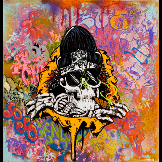 GQ1823◇POWELL PERALTA : 90's USA製 リザード Amazon.com : Powell Peralta O.G. Ripper Checker Reissue