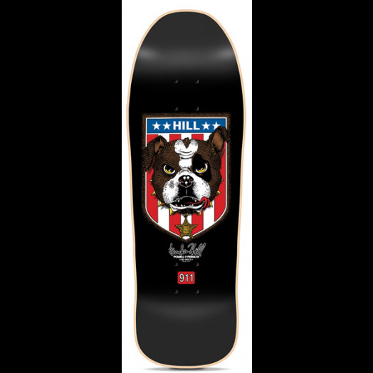 Powell-Peralta  10 Iconic Brands That Have Defined